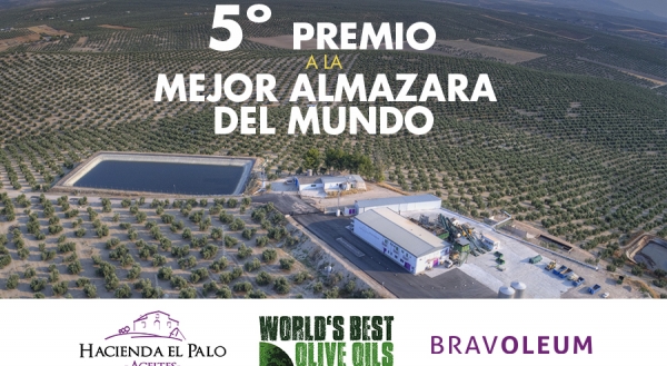 almazara bravoleum-hacienda el palo