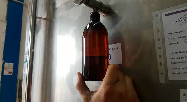 Toma de muestras bravoleum