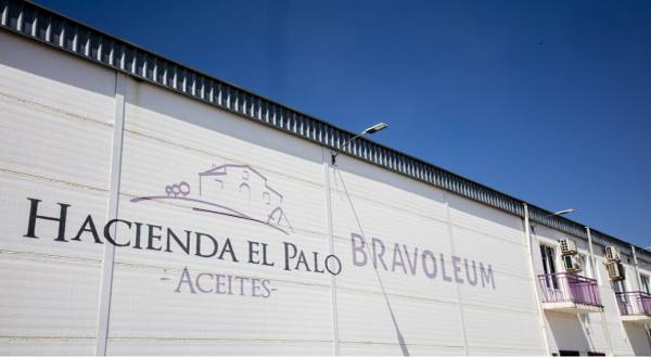 Bravoleum premio al mejor aceite de España 